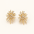 Women's Firework Earrings with Ray-Inspired Style