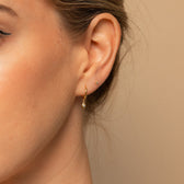 Hanging Earrings