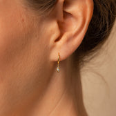 Hanging Earrings