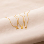 Delicate Necklace with Initials