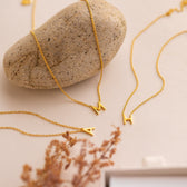 Delicate Necklace with Initials
